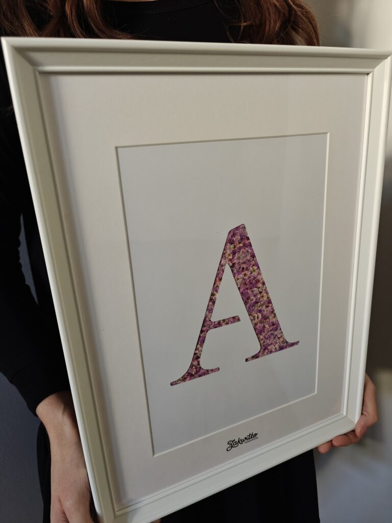 Litera A, fioletowa gipsówka, 30×40