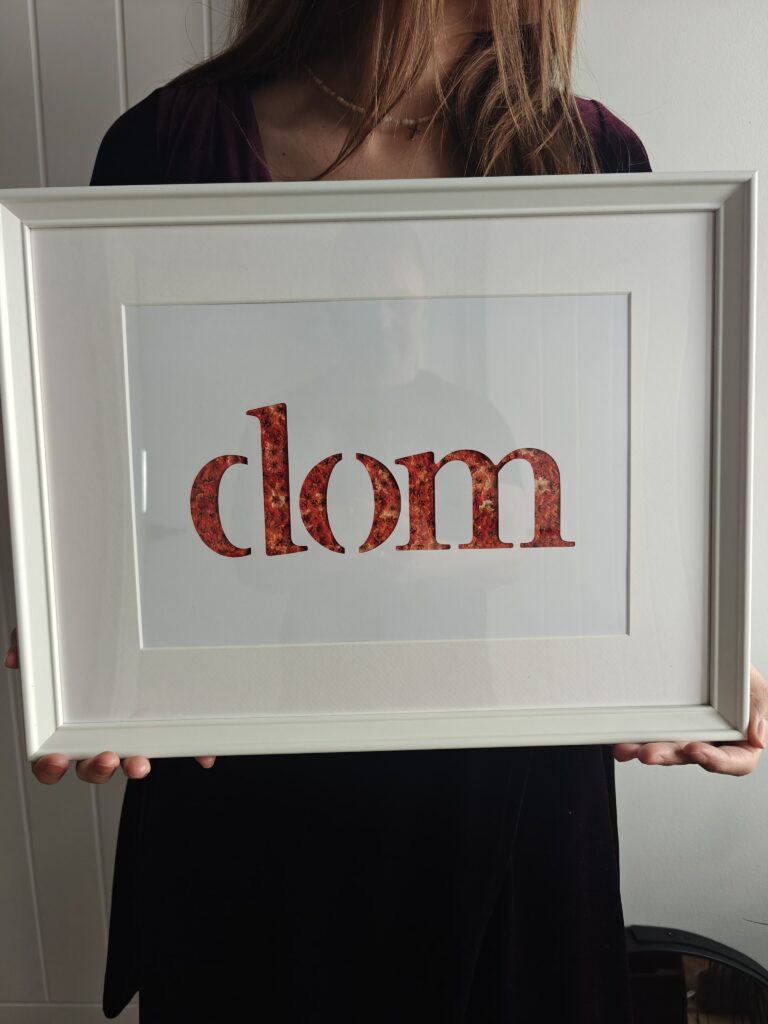 Napis Dom, pomarańczowa gipsówka, 30×40