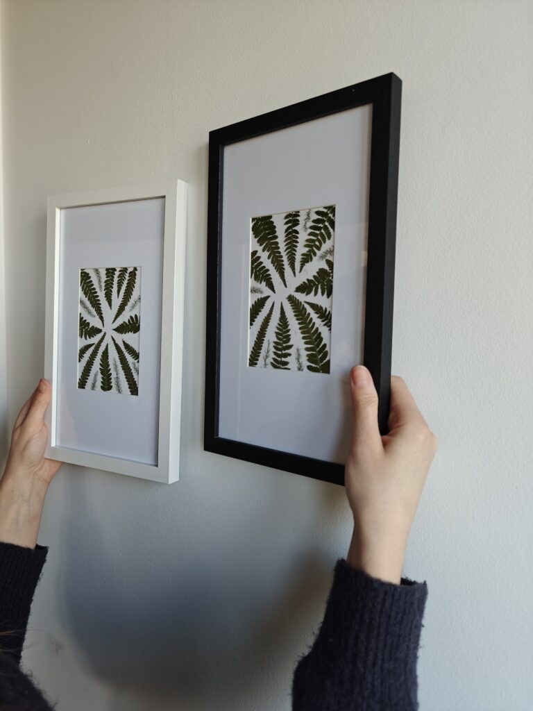 Obraz Paproć, suszone liście (czarna rama), 33×20