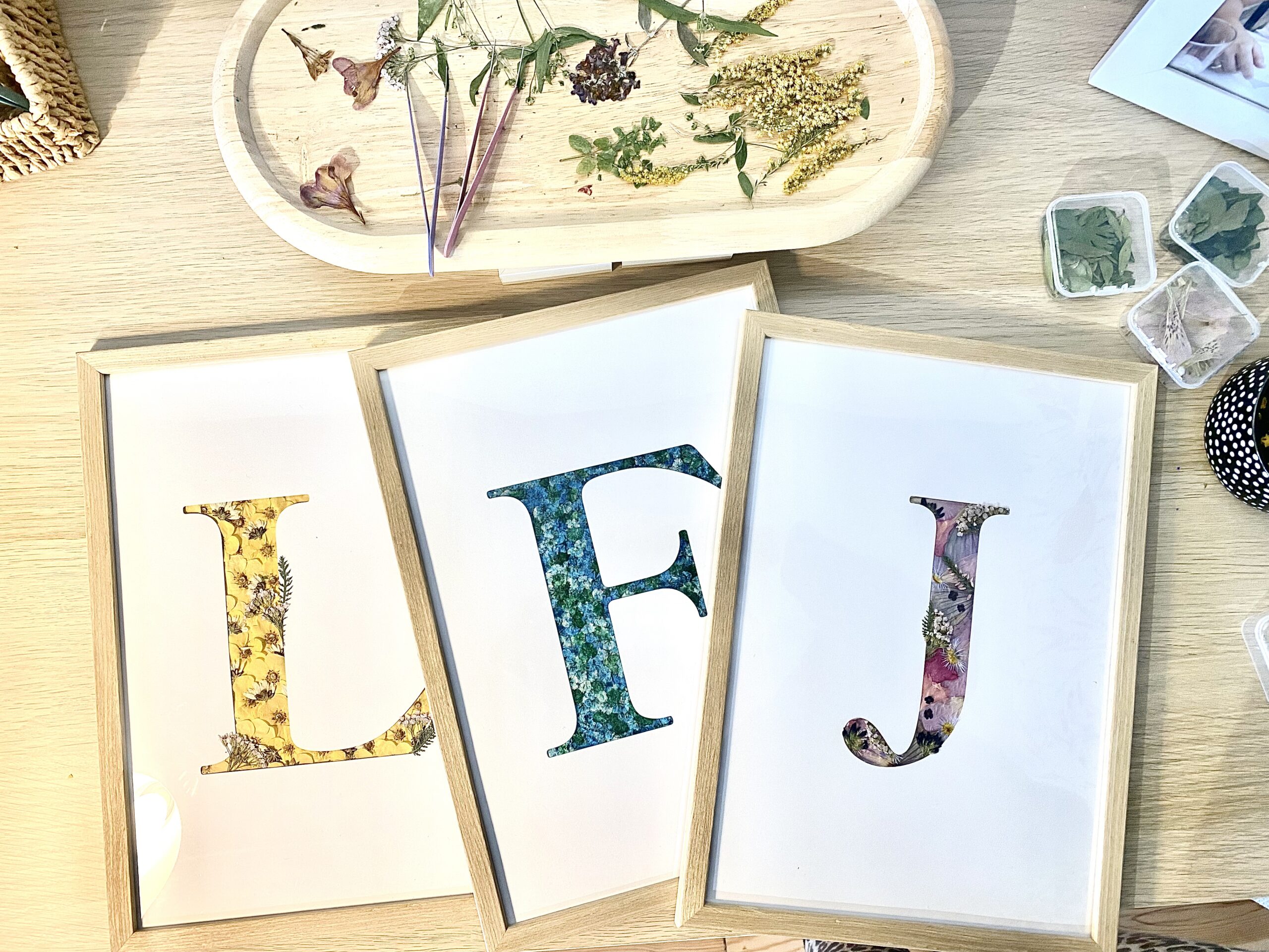 O moim herbarium