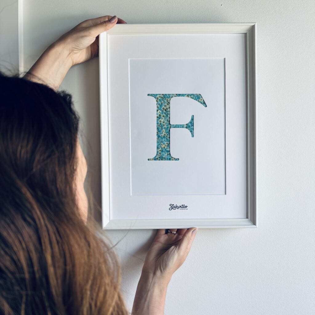Litera F z suszonych kwiatów — niebieskie gipsówki, 32×42